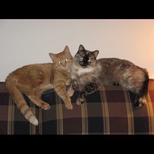 Meet your Posher, Jeanne